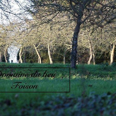 Normandia Du Lieu Foison Βίλα Nonant Εξωτερικό φωτογραφία